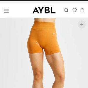 AYBL V2 Shorts M Spiced Orange NWT